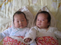 双胞胎李宝宝 8个月
